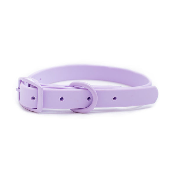 Frenchie Waterproof Dog Collar - Violet