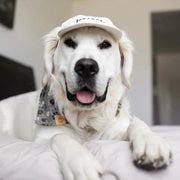 Furever Pet Dog Hat – Dog Hats by Fur Elise Pets