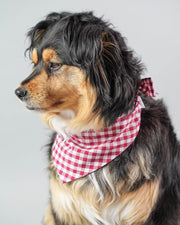 Gingham Dog Bandana – Bandanas & Neckwear by MODERNBEAST