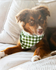 Gingham Dog Bandana – Bandanas & Neckwear by MODERNBEAST