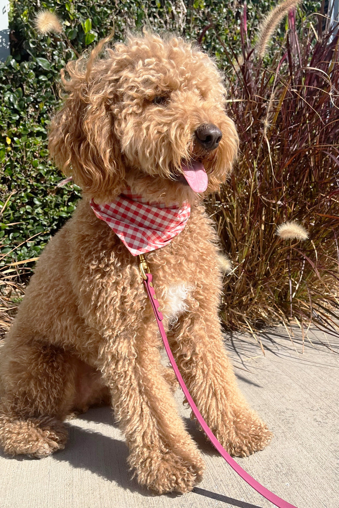 Gingham Dog Bandana – Bandanas & Neckwear by MODERNBEAST