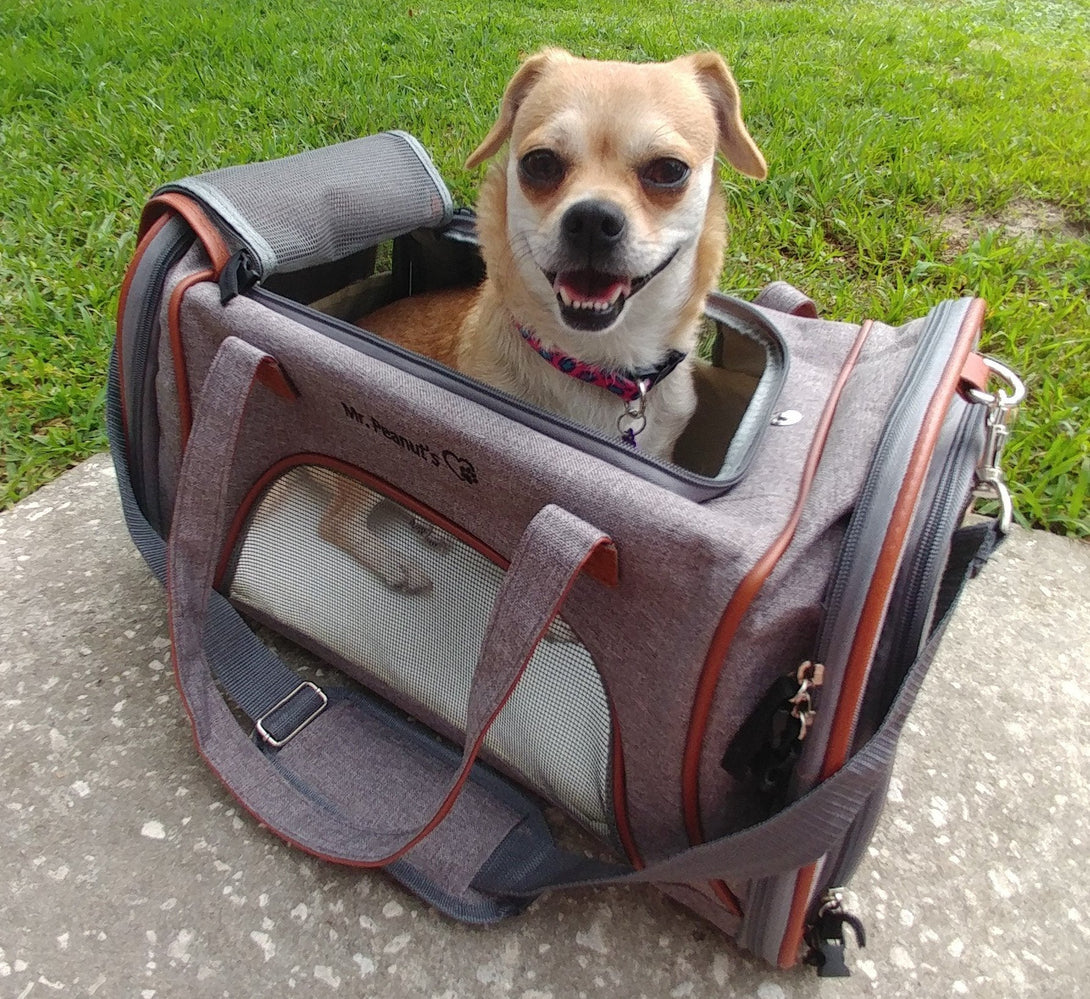 Gold Series Airline Compliant Dog Carrier Bag – Pet Carriers by Mr. Peanut's Pet Carriers