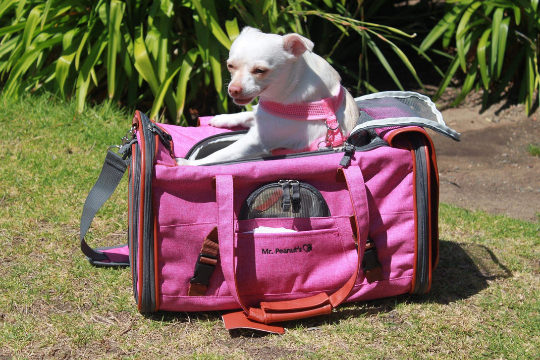 Gold Series Airline Compliant Dog Carrier Bag – Pet Carriers by Mr. Peanut's Pet Carriers