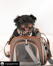 Gold Series Airline Compliant Dog Carrier Bag – Pet Carriers by Mr. Peanut's Pet Carriers