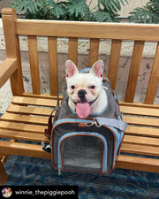 Gold Series Big Apple XL Size Airline Compliant Double Expandable Dog Carrier Bag – Pet Carriers by Mr. Peanut's Pet Carriers