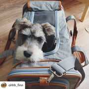Gold Series Standard Size Airline Compliant Expandable Dog Carrier Bag – Pet Carriers by Mr. Peanut's Pet Carriers