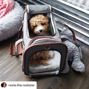 Gold Series Standard Size Airline Compliant Expandable Dog Carrier Bag – Pet Carriers by Mr. Peanut's Pet Carriers