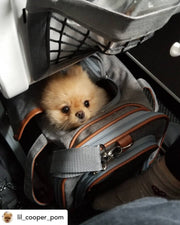 Gold Series Standard Size Airline Compliant Expandable Dog Carrier Bag – Pet Carriers by Mr. Peanut's Pet Carriers