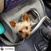 Gold Series Standard Size Airline Compliant Expandable Dog Carrier Bag – Pet Carriers by Mr. Peanut's Pet Carriers