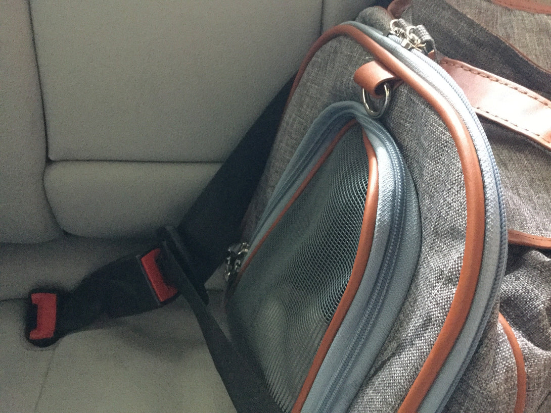 Gold Series Standard Size Airline Compliant Expandable Dog Carrier Bag – Pet Carriers by Mr. Peanut's Pet Carriers