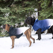 Good Vibes Dog Hoodie – Sweaters & Hoodies by GF Pet.us