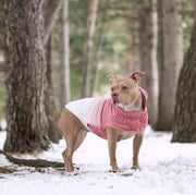 Good Vibes Dog Hoodie – Sweaters & Hoodies by GF Pet.us