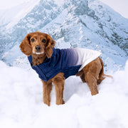 Good Vibes Dog Hoodie – Sweaters & Hoodies by GF Pet.us