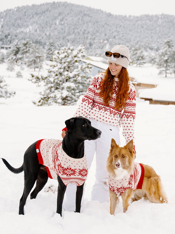 Norwegian Dog Sweater