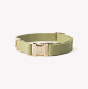 Green - Canvas Dog Collar – Dog Collars by FURLOU