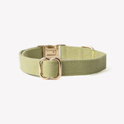 Green - Canvas Dog Collar – Dog Collars by FURLOU