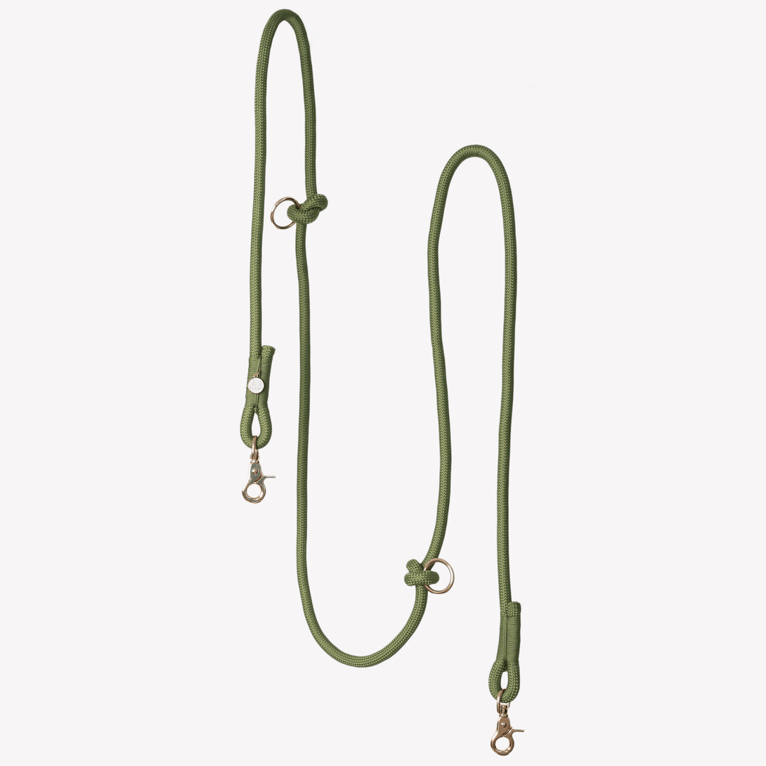 Green - Hands Free Braided Dog Leash – Dog Leashes by FURLOU
