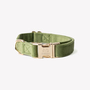 Green - Velvet Dog Collar – Dog Collars by FURLOU