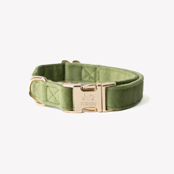 Green - Velvet Dog Collar – Dog Collars by FURLOU