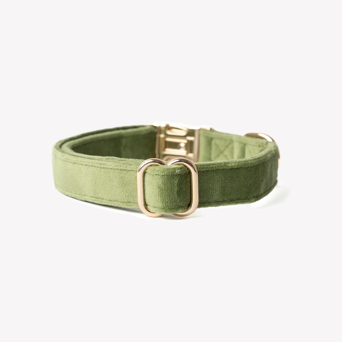 Green - Velvet Dog Collar – Dog Collars by FURLOU