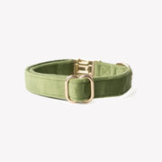 Green - Velvet Dog Collar – Dog Collars by FURLOU