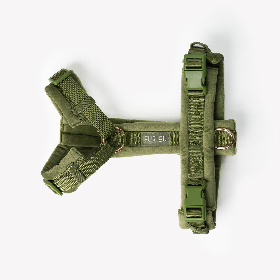 Green - Velvet Dog Harness – Dog Harnesses by FURLOU