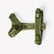 Green - Velvet Dog Harness – Dog Harnesses by FURLOU