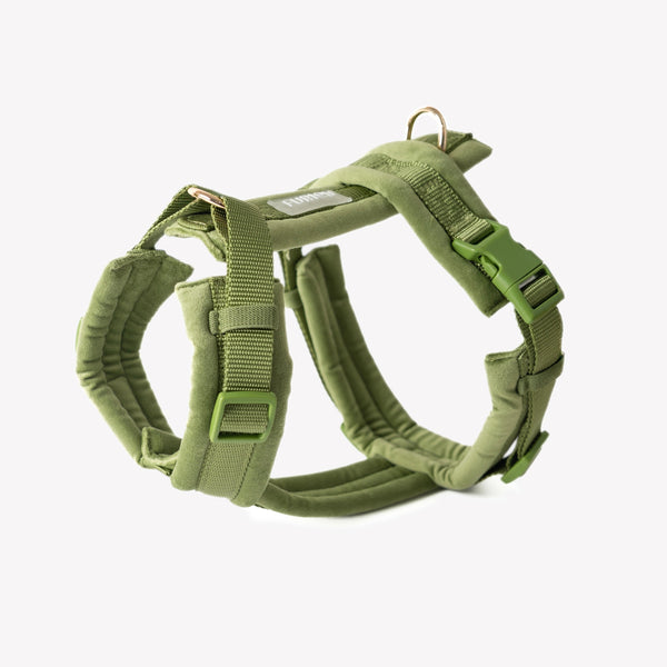 Green - Velvet Dog Harness – Dog Harnesses by FURLOU