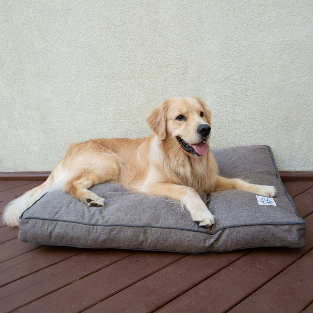 GreenDog Napper - Luxe Neutral – Dog Beds by Carolina Pet Co.