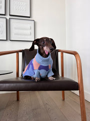 Groovy Knitted Dog Sweater – Sweaters & Hoodies by Sunbean