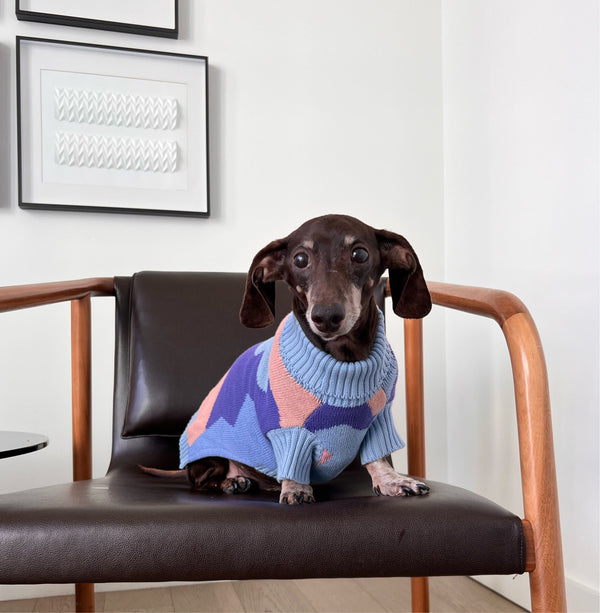 Groovy Knitted Dog Sweater