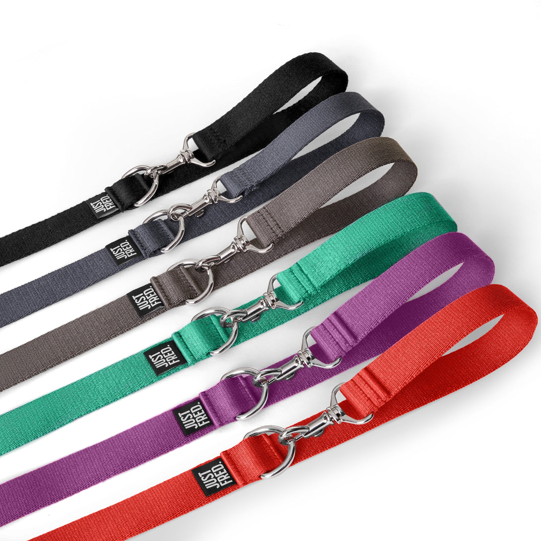 Hands - free Dog Leash. – Dog Leashes by JUST FRED.