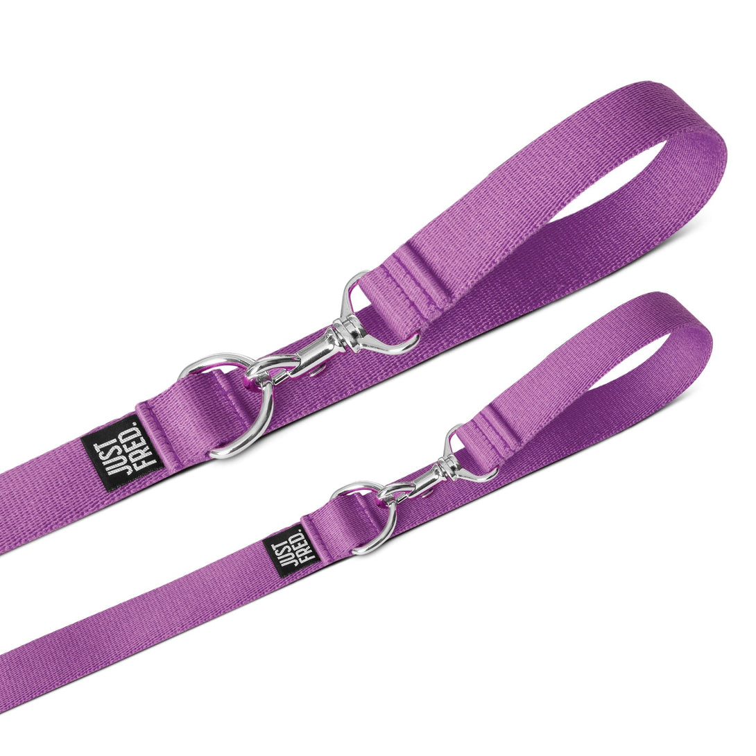 Hands - free Dog Leash. – Dog Leashes by JUST FRED.
