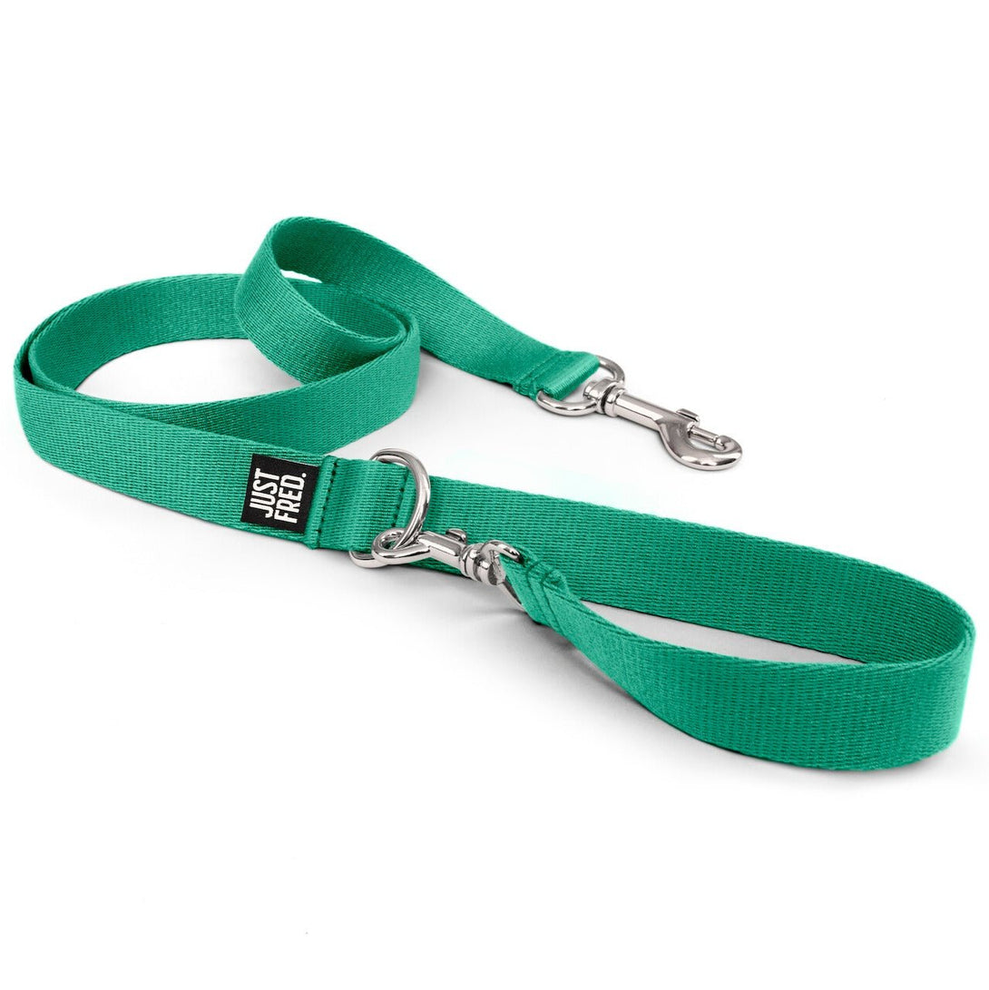 Hands - free Dog Leash. – Dog Leashes by JUST FRED.