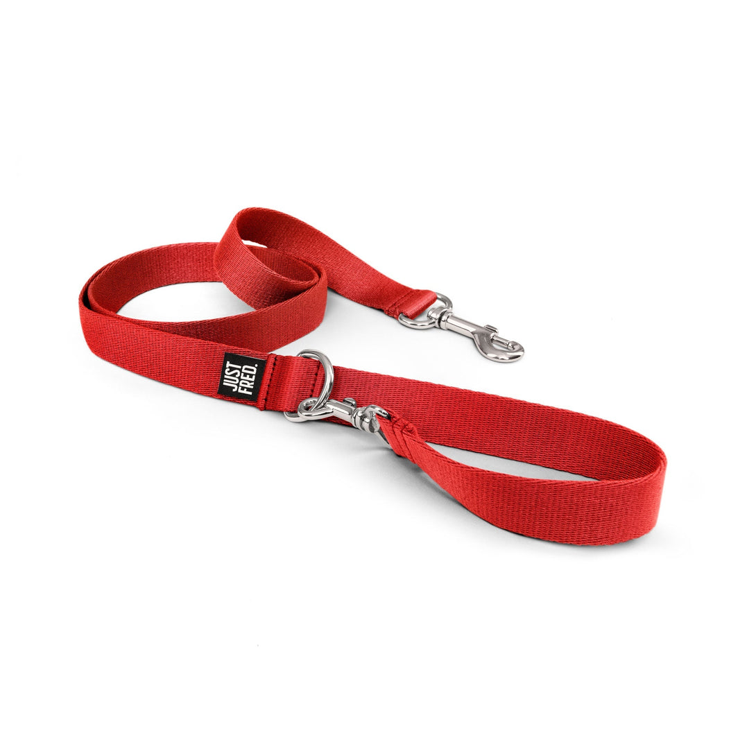 Hands - free Dog Leash. – Dog Leashes by JUST FRED.