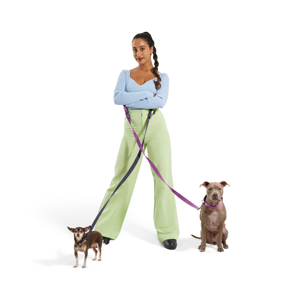Hands - free Dog Leash. – Dog Leashes by JUST FRED.