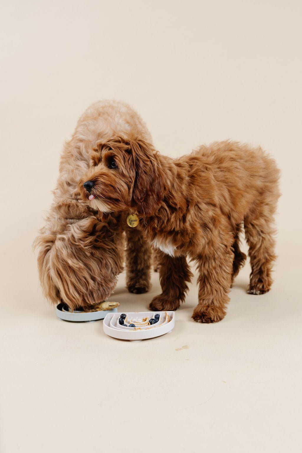 Happy Feelings Dog Lick Mat Slow Feeder – Lick & Snuffle Mats by Pupwell