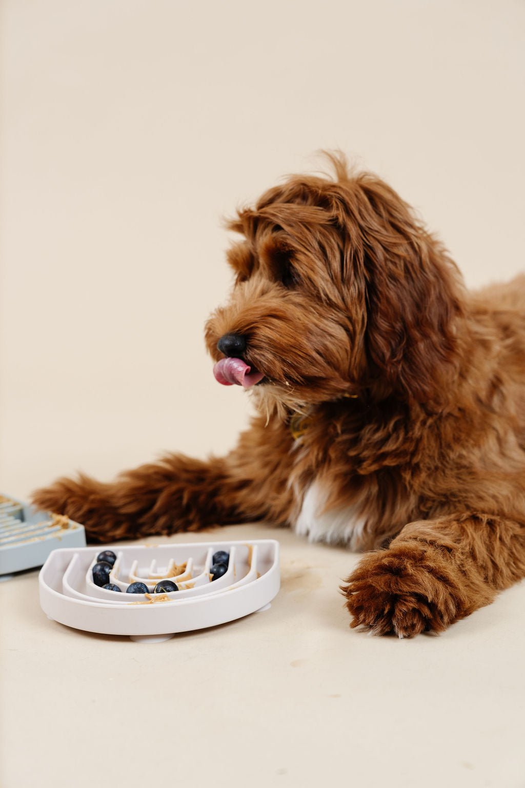 Happy Feelings Dog Lick Mat Slow Feeder – Lick & Snuffle Mats by Pupwell