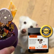 Hip & Joint Chews (90 Chews) Dog Vitamin Supplements – Dog Vitamins & Supplements by Freezbone