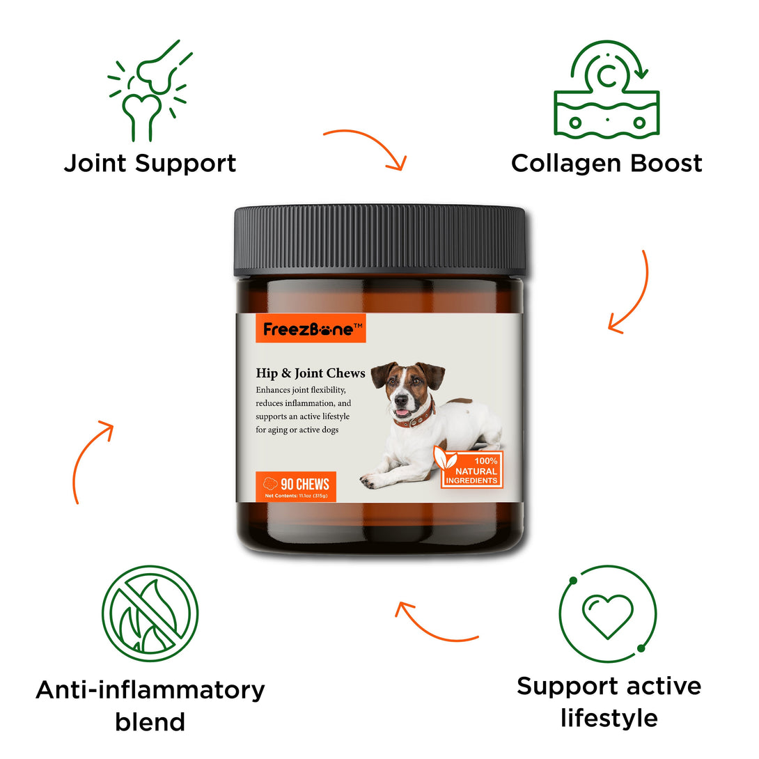 Hip & Joint Chews (90 Chews) Dog Vitamin Supplements – Dog Vitamins & Supplements by Freezbone