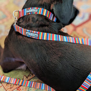 Hippie Dog Leash – Dog Leashes by LuckyLoveDog