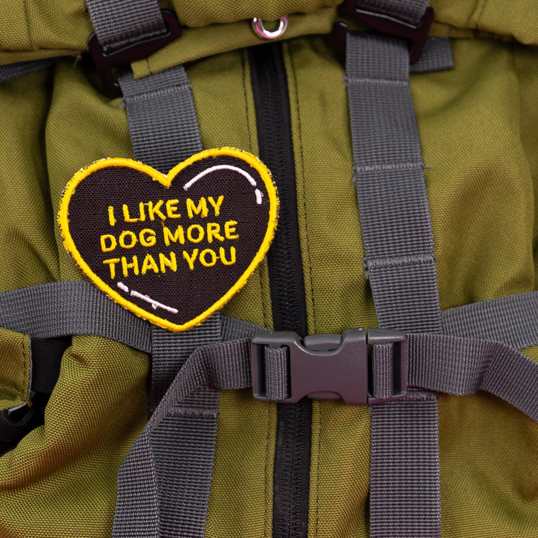 I Like My Dog More Than You Heart Patch – Accessories by K9 Sport Sack