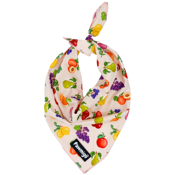 Frootie Patootie Cooling Dog Bandana
