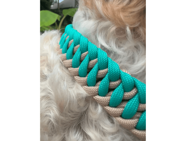 Infinity Braid in Teal & Light Tan - Handmade Dog Collar – Dog Collars by Pawsh Pup Co.