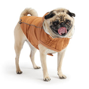 Insulated Dog Raincoat - Hazel – Jackets & Coats by GF Pet.us