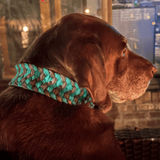 Josephine Braid Handmade Dog Collar - Customize Your Colors – Dog Collars by Pawsh Pup Co.