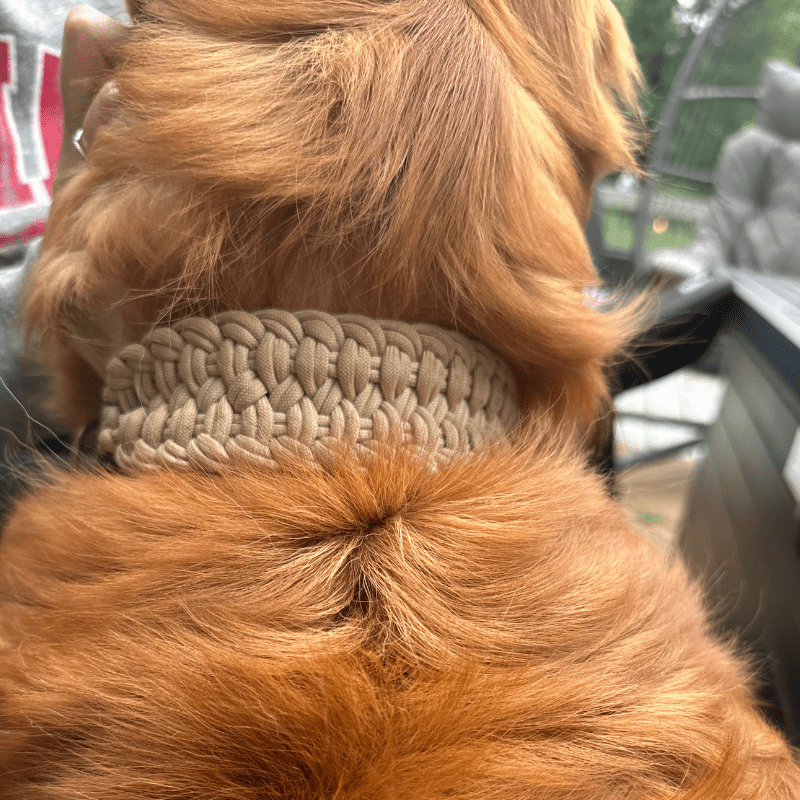 Josephine Braid Handmade Dog Collar - Customize Your Colors – Dog Collars by Pawsh Pup Co.