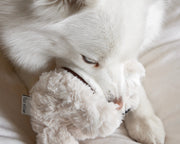 Koko Mini Plushie Squeaky Dog Toy – Dog Toys by Fur Elise Pets