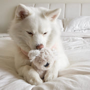 Koko Mini Plushie Squeaky Dog Toy – Dog Toys by Fur Elise Pets