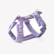 Lavender - Comfort Dog Harness – Dog Harnesses by FURLOU